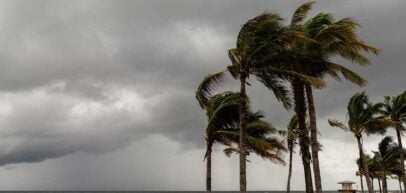 Prepare for Tropical Storm Francine: Tips from Ball Heating, Cooling, Plumbing & Electrical